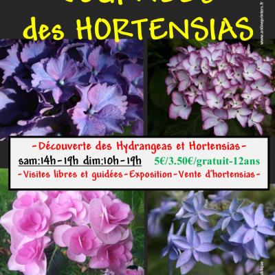 Affiche hortensias 2022