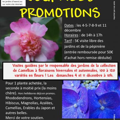 Affiche journees promotions 2022