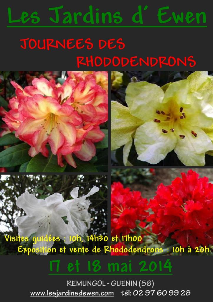 AFFICHE RHODODENDRONS-1-2014