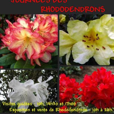 AFFICHE RHODODENDRONS-1-2014