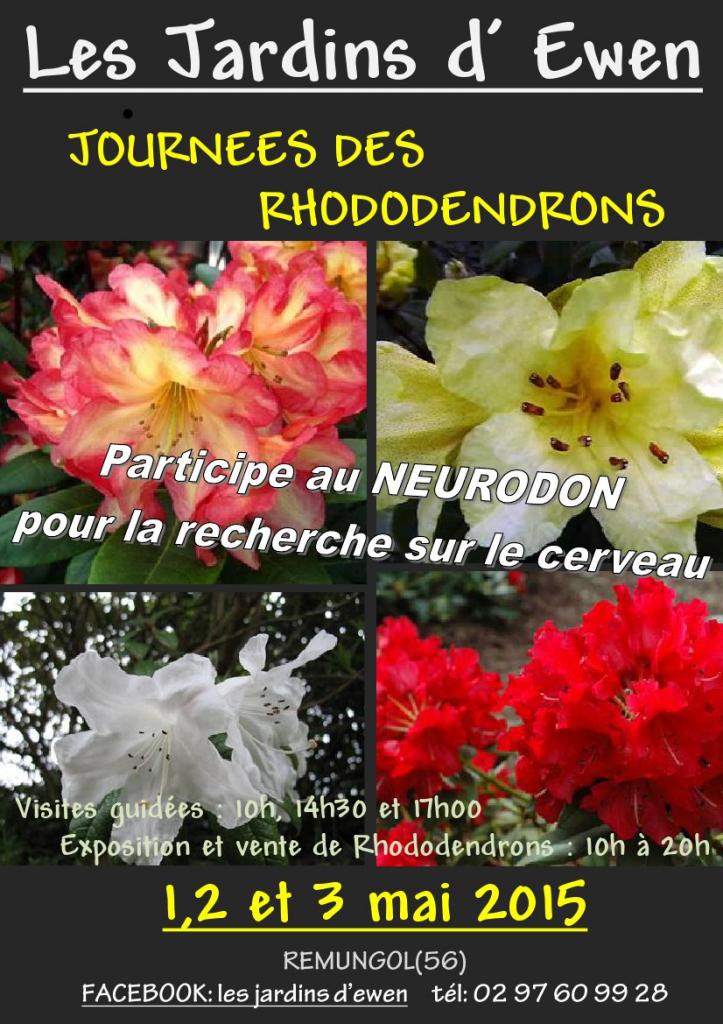 AFFICHE RHODODENDRONS 2015