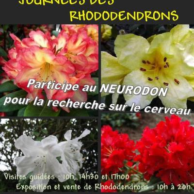 AFFICHE RHODODENDRONS 2015