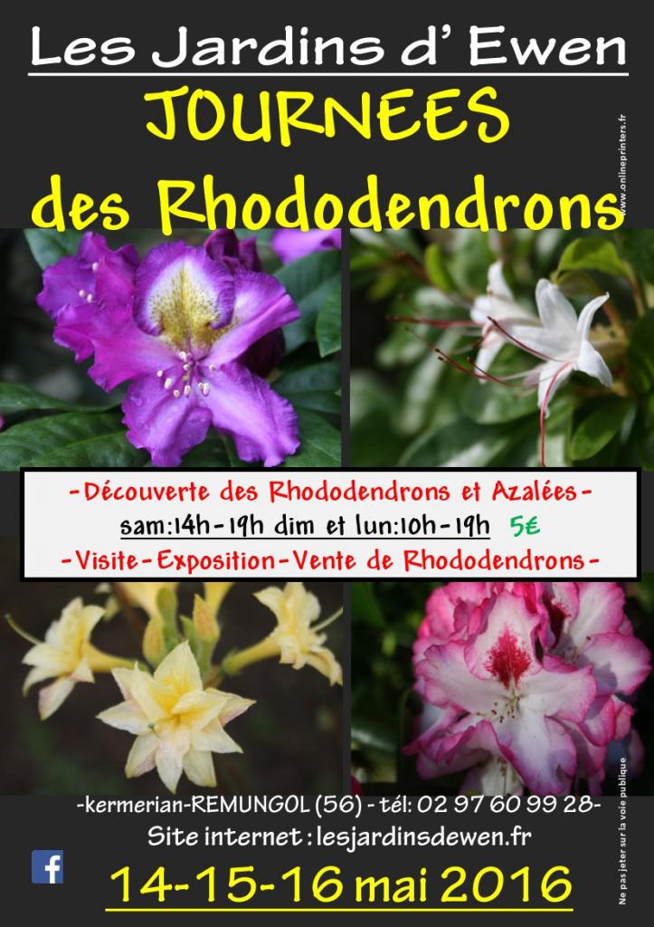 AFFICHE RHODODENDRONS 2016