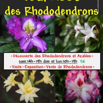 AFFICHE RHODODENDRONS 2016