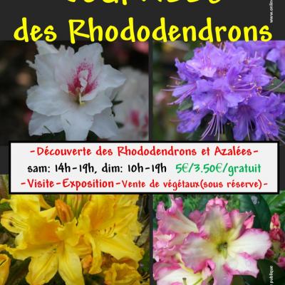 Affiche Rhododendrons 2021