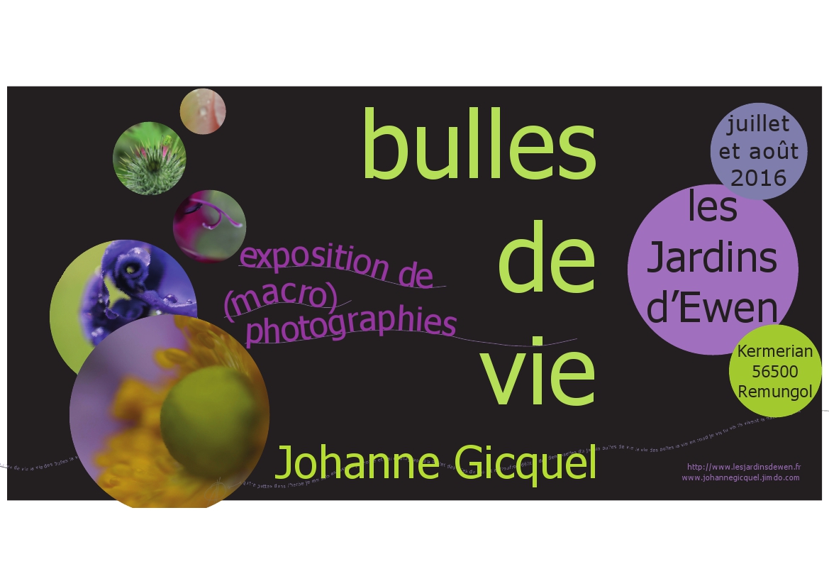 johannegicquel-affiche expo bulles de vie 2016