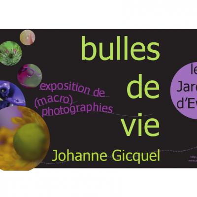 johannegicquel-affiche expo bulles de vie 2016