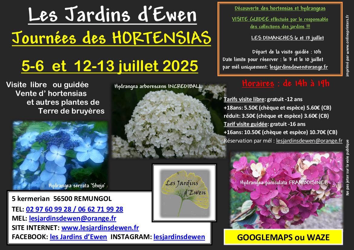 Affiche hortensias 2027
