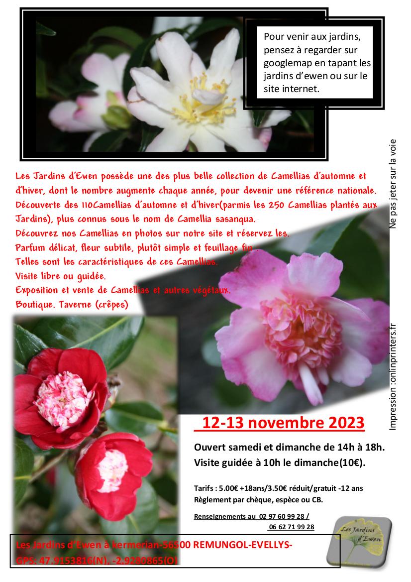 Prospectus camellias automne verso 2023
