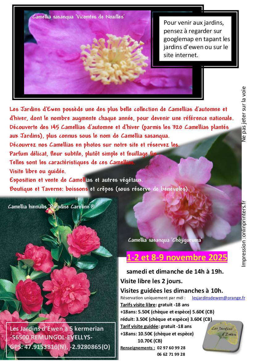 Prospectus camellias automne verso 2026