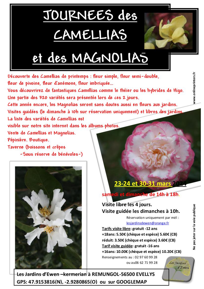 Prospectus camellias printemps verso 2024