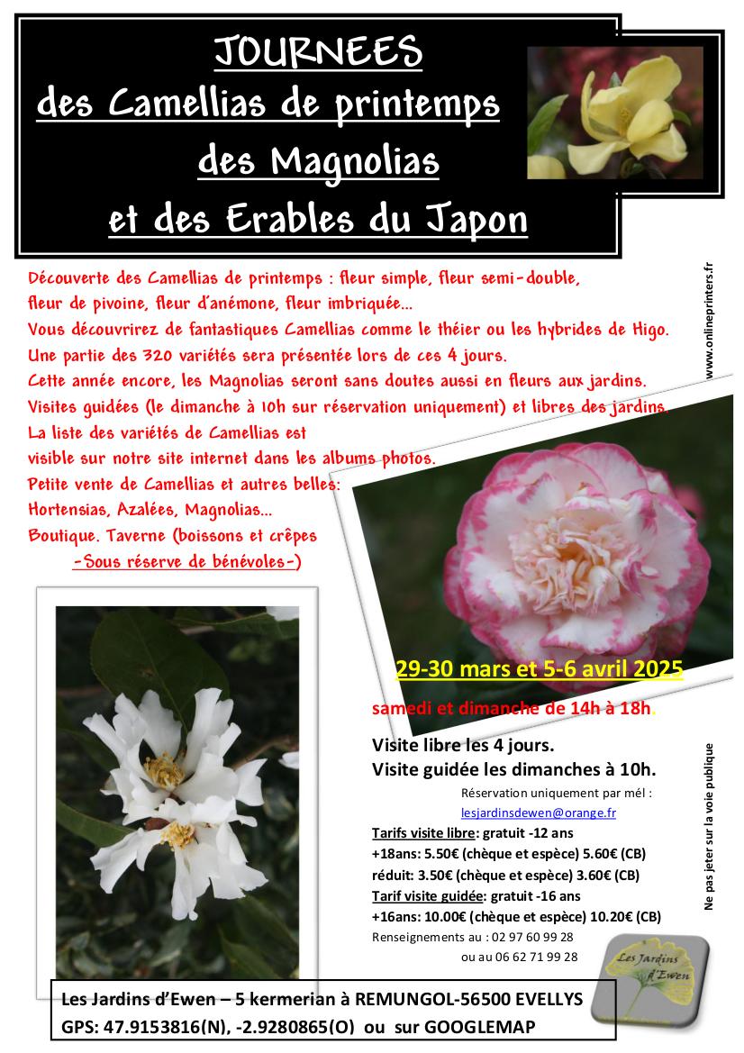 Prospectus camellias printemps verso 2025