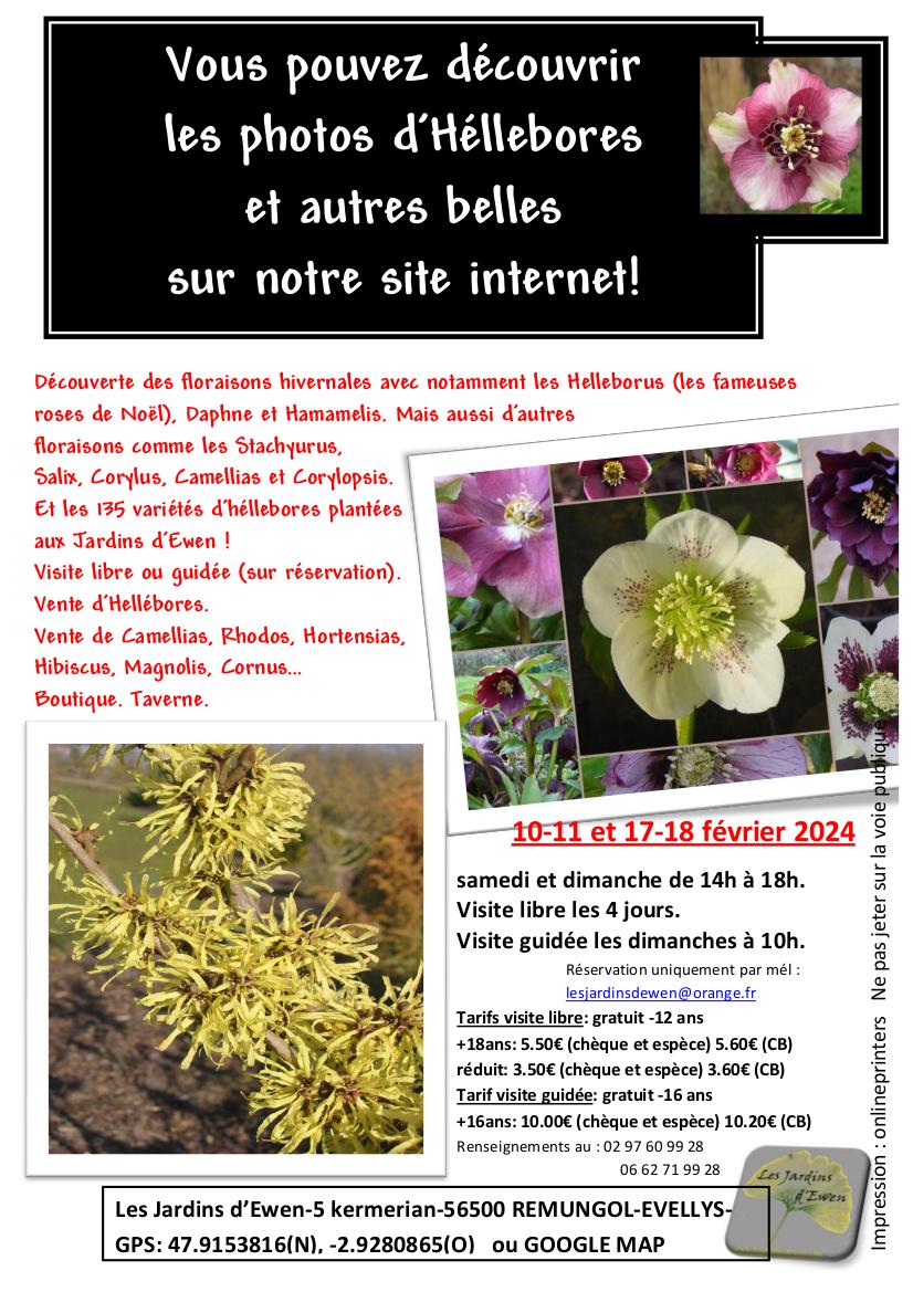 Prospectus hellebores 2024 verso