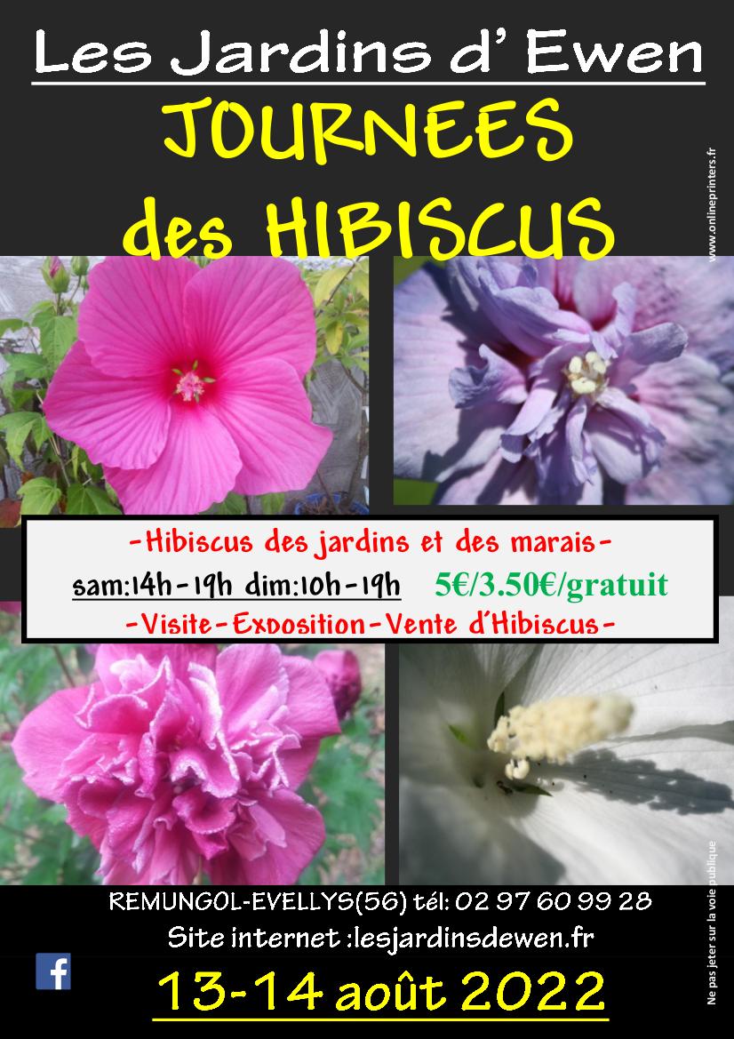 Prospectus hibiscus recto 2022