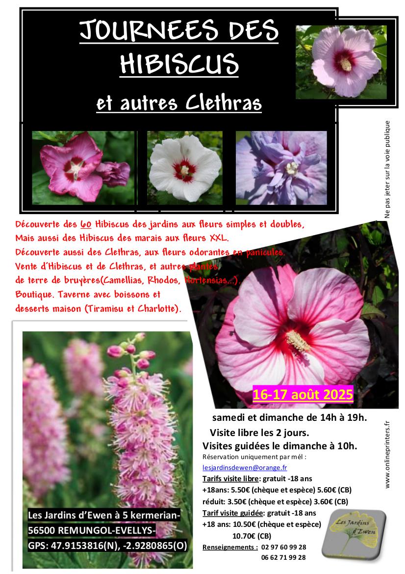 Prospectus hibiscus verso 2025